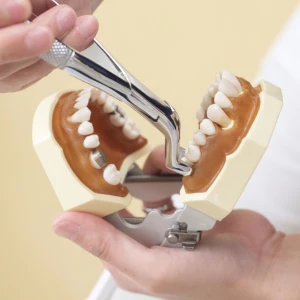 Step-by-Step Guide to Tooth Extractions in Garden City